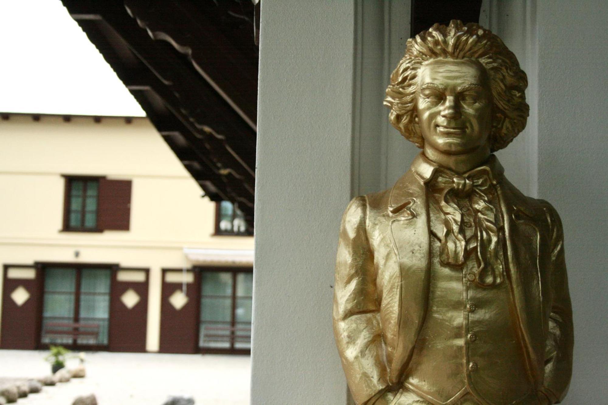 Villa Musik - Historical Apartments In บาเดน ภายนอก รูปภาพ