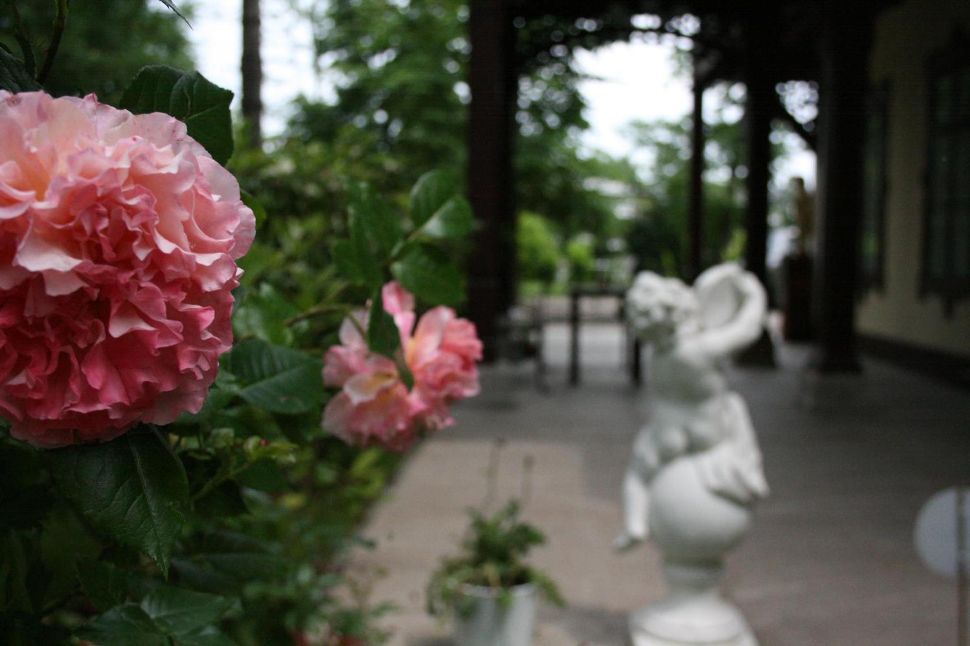 Villa Musik - Historical Apartments In บาเดน ภายนอก รูปภาพ